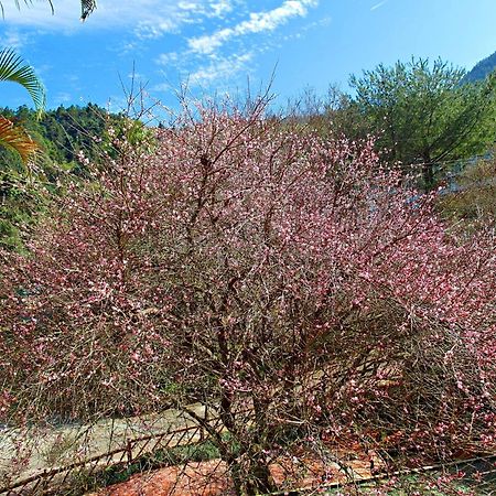 Li Jin Kuan Homestay 난좡 외부 사진
